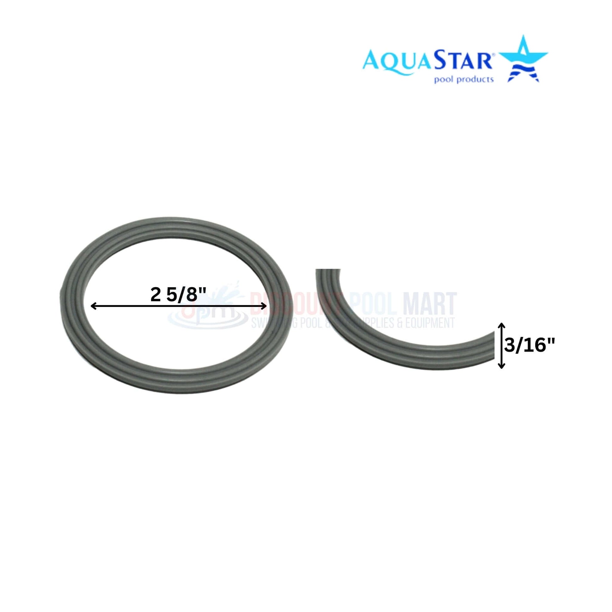 AquaStar Union and Gasket Kit components for PLF27000 and PLF35000 Pipeline Filters from Discount Pool Mart DPM.
