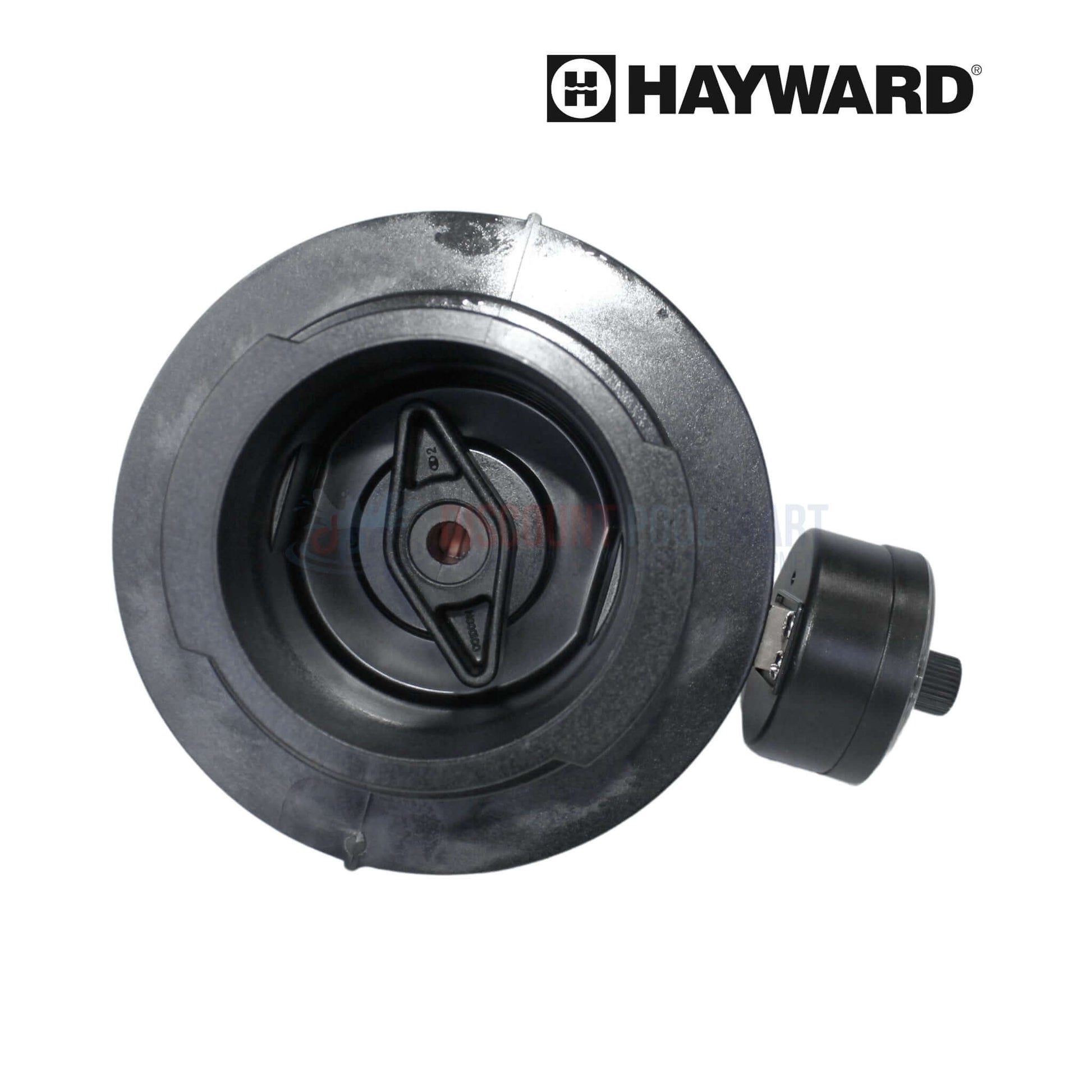 Hayward Complete Manual Air Relief Assembly DEX2420MAR2 from Discount Pool Mart DPM for efficient pool filtration.