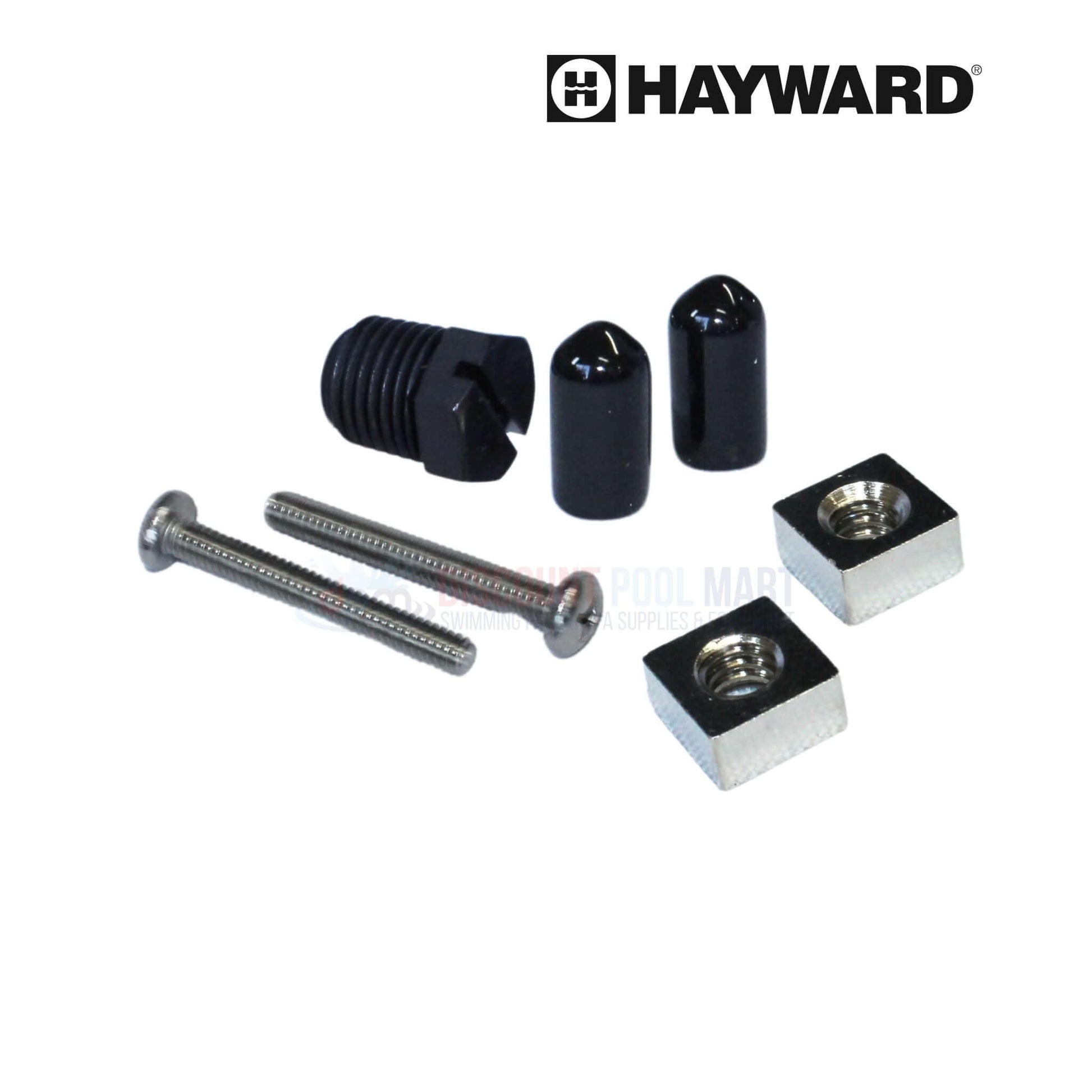 Hayward pool maintenance parts including screws, black caps, and fittings from Discount Pool Mart DPM for easy installation.