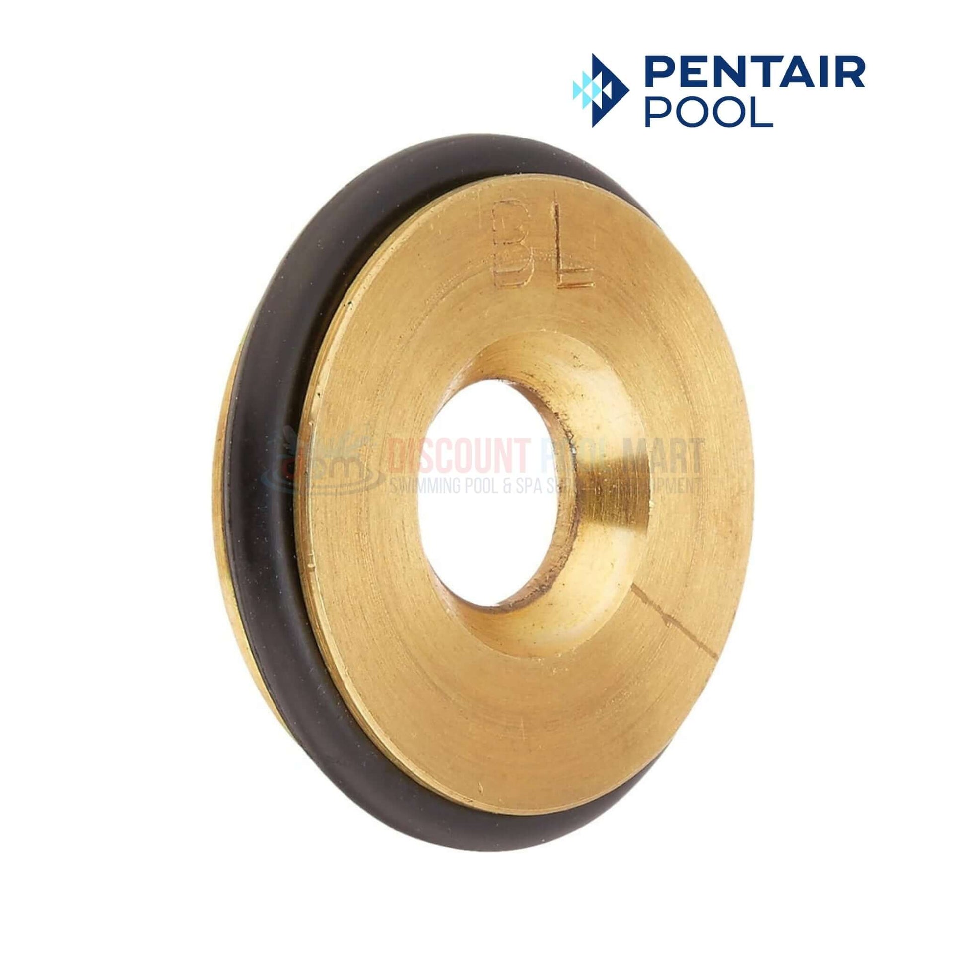 Pentair pool replacement part featuring a brass and rubber design, available at Discount Pool Mart DPM.
