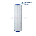 Pentair Cartridge For Clean and Clear 200 Filters | R173217