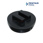 Pentair Drain Plug For Nautilus and FNS Filters | 2