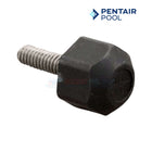 Pentair Impeller Lock Screw For WhisperfloXF and IntellifloXF Pumps | 37337-6080