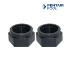 Pentair Mender Nut For Legend and Platinum Cleaners | 2 Pack | Gray | LLD15PM