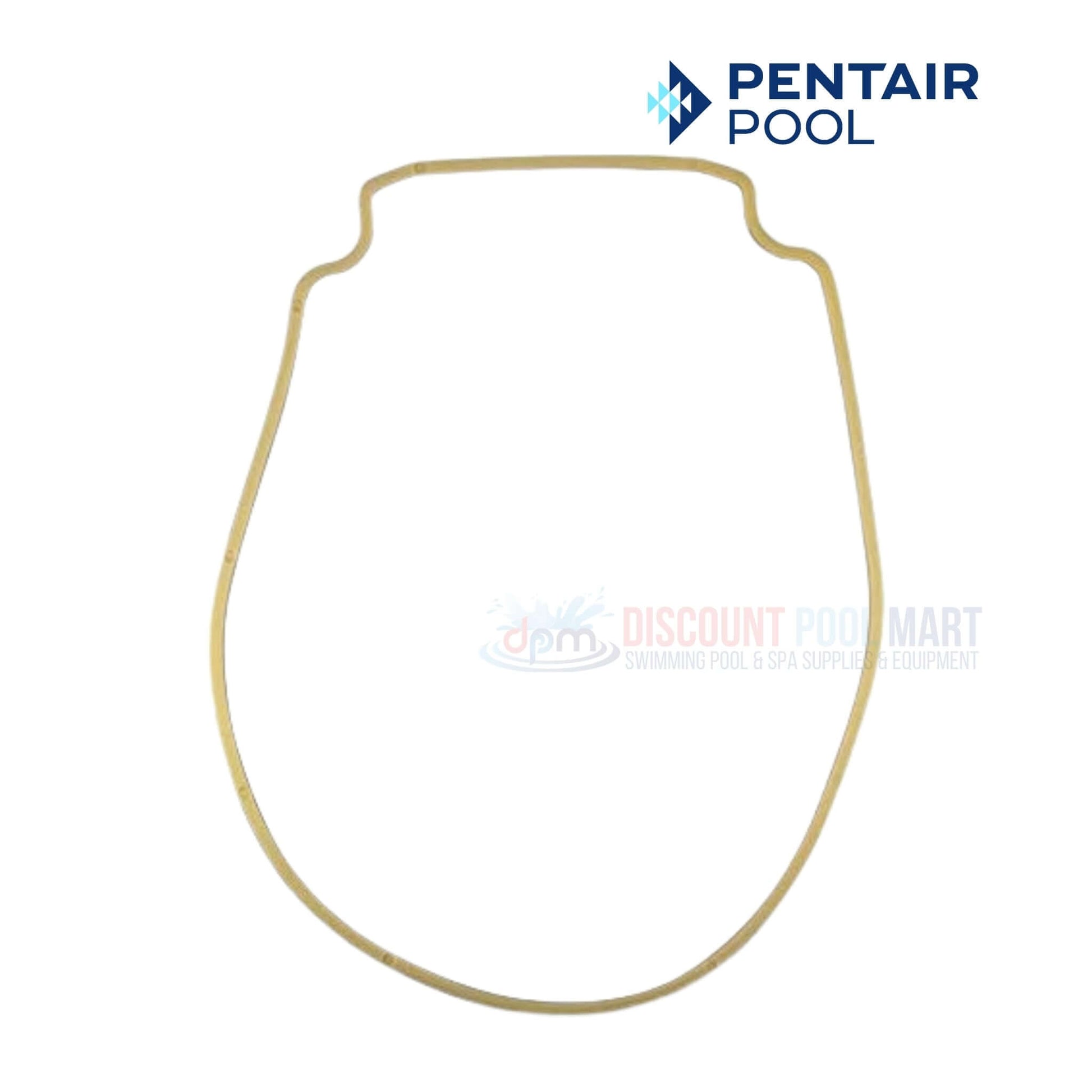 Pentair Seal Plate Gasket for Whisperflo and Intelliflo pump from Discount Pool Mart DPM, almond color, model 357102.