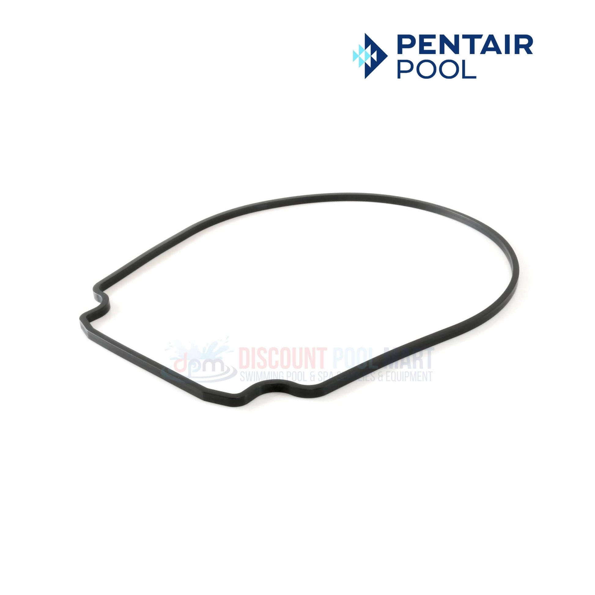Pentair Seal Plate Gasket for Whisperflo & Intelliflo Pump | Black | 357100 at Discount Pool Mart DPM