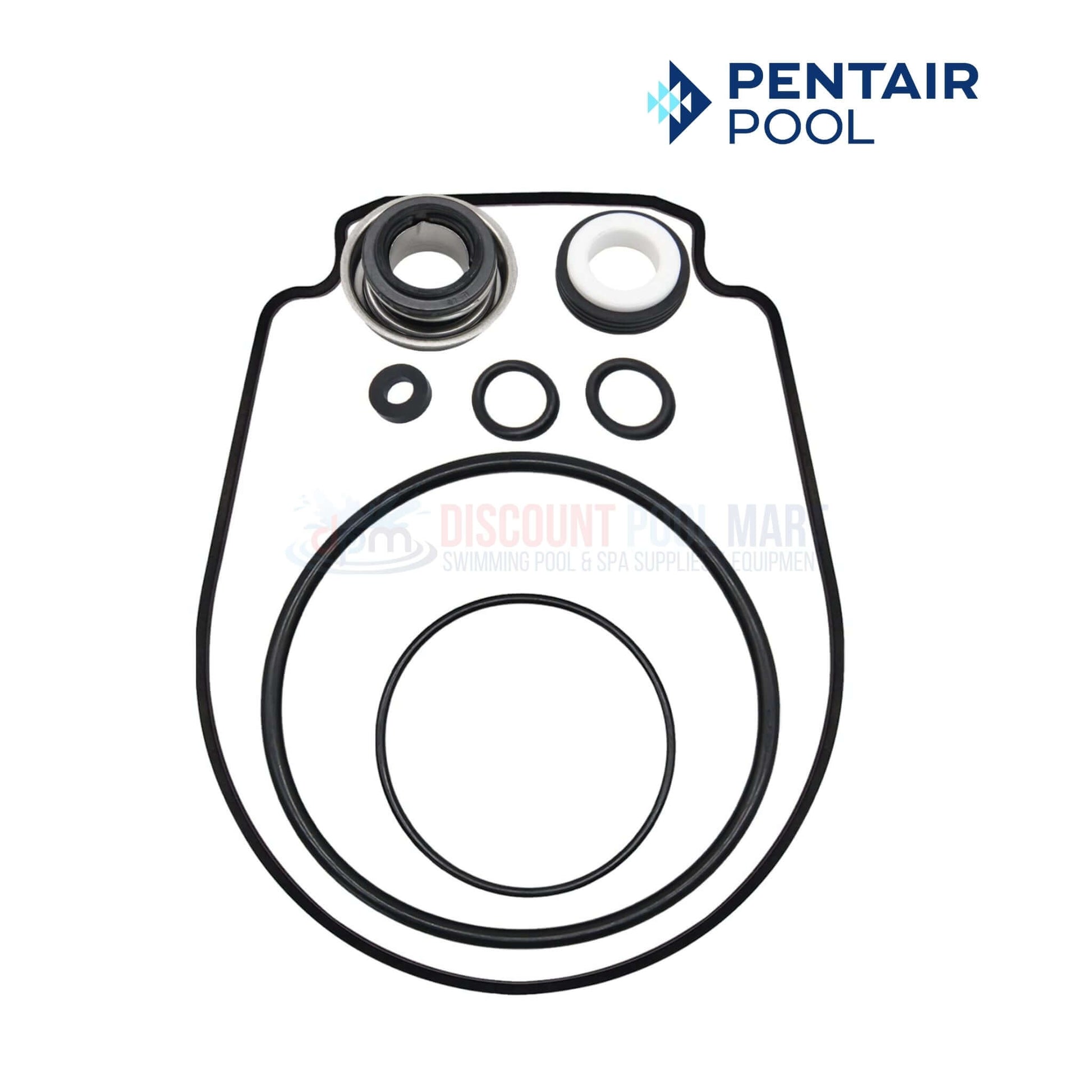 Pentair Swimming Pool Pump Seal Set Kit with O-rings and gaskets for WhisperFlo and IntelliFlo pumps - Discount Pool Mart DPM
