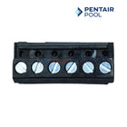 Pentair Terminal Plug-In Screw For Intelliflo3 ComPool and IntelliTouch | 6 Position | 8023306