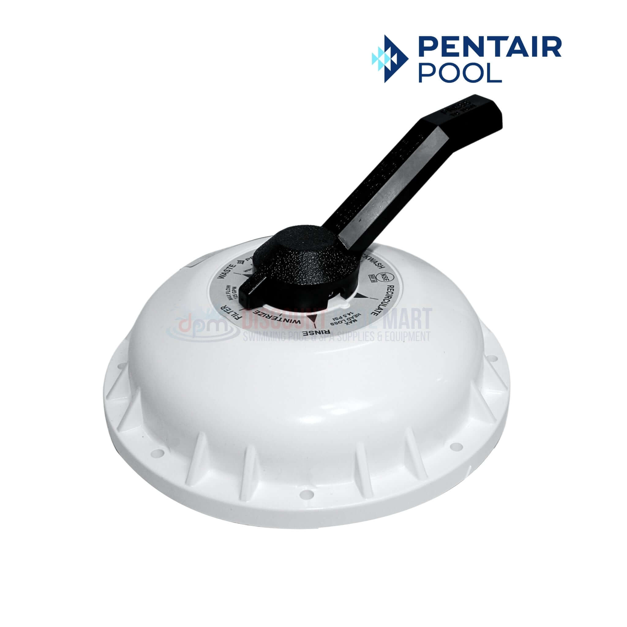 272422 | Pentair 2