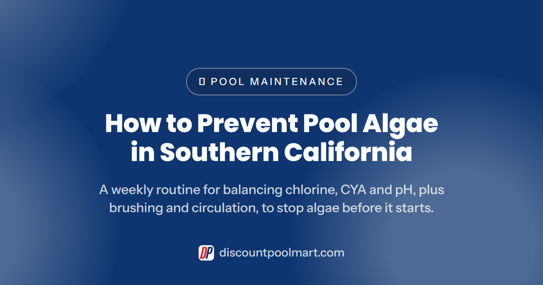 How to Prevent Pool Algae in Southern California