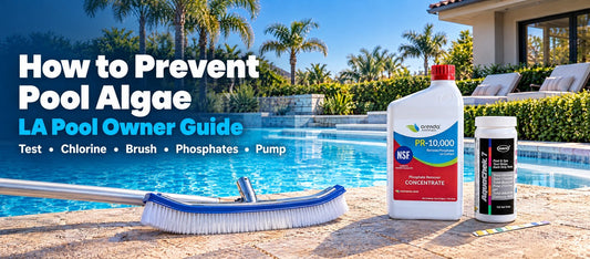 How to Prevent Pool Algae: LA Pool Owner Guide