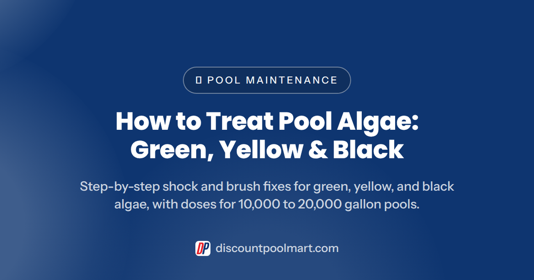 How to Treat Pool Algae: Green, Yellow & Black