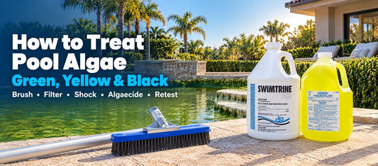 How to Treat Pool Algae: Green, Yellow & Black