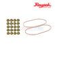 Raypak 010062F copper heat exchanger flange nuts and gaskets for 406A/407A, from Discount Pool Mart.