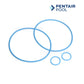 Pentair 270514Z | Pentair Backwash Valve Rebuild Kit Fir FullFloXF showing two O-rings and two small O-rings, blue color.