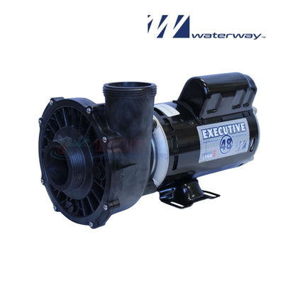 3421221-1A | Waterway 3HP Executive Pump 2 Speed showcased at an angle, emphasizing the rugged design for pool supplies by Discount Pool Mart.