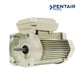 Pentair WhisperFlo 354803S 3/4HP TEFC motor in almond color for pool circulation from Discount Pool Mart.