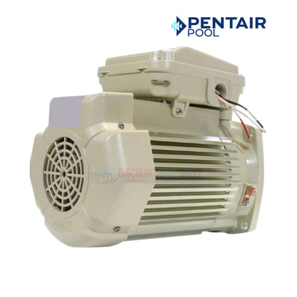 Pentair WhisperFlo 354803S 3/4HP TEFC motor in almond color for pool systems, from Discount Pool Mart (DPM), high-performance pool supplies.