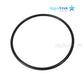 AP1101 AquaStar Pump O-Ring for PLP150S and PLP300S, durable black seal for pool supplies from Discount Pool Mart.
