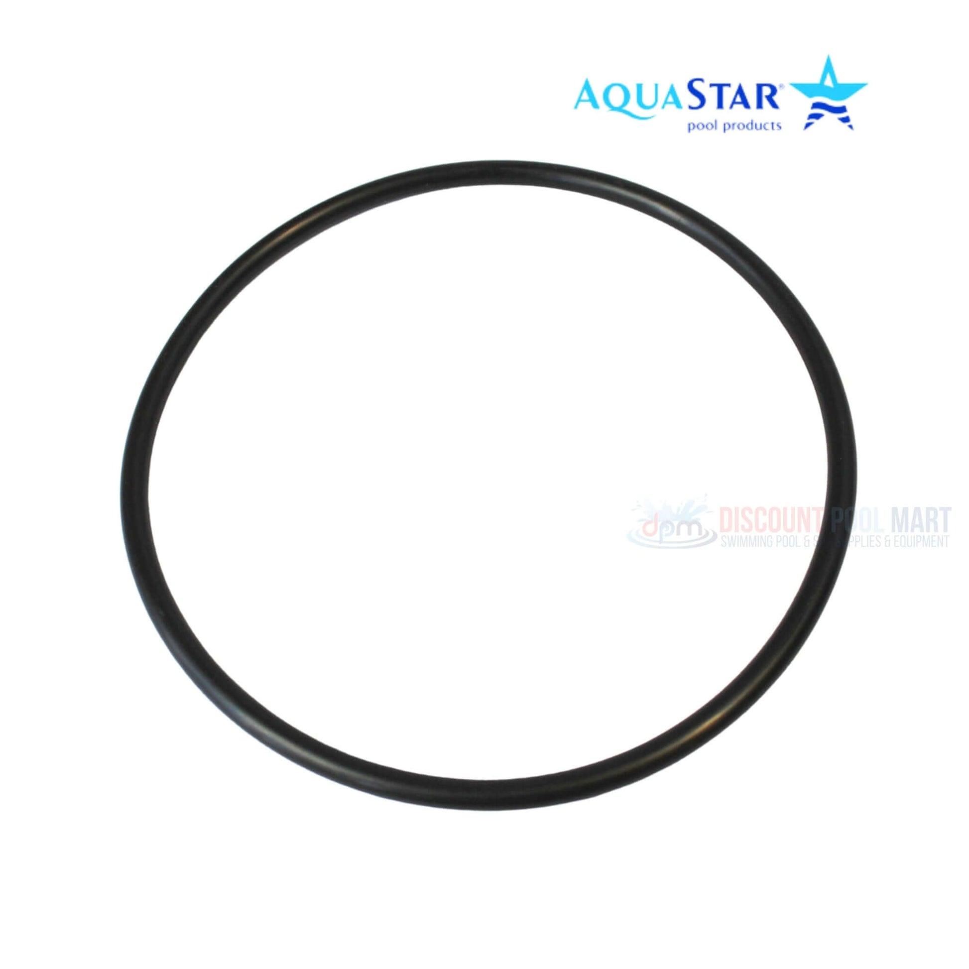 AP1101 AquaStar Pump O-Ring for PLP150S and PLP300S, durable black seal for pool supplies from Discount Pool Mart.