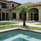 Luxurious backyard pool area featuring palm tree and elegant architecture with Greek key tile design by Discount Pool Mart DPM.