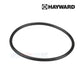 Hayward O-Ring CCX1000Z5 for XStream Filters, essential for pool maintenance, available at Discount Pool Mart DPM.