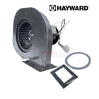 Hayward Combustion Blower For Universal H-Series Low Nox Heaters | FDXLBWR1930