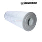 Hayward Filter Cartridge CX580XRE for SwimClear C3030 pool filter at Discount Pool Mart DPM.