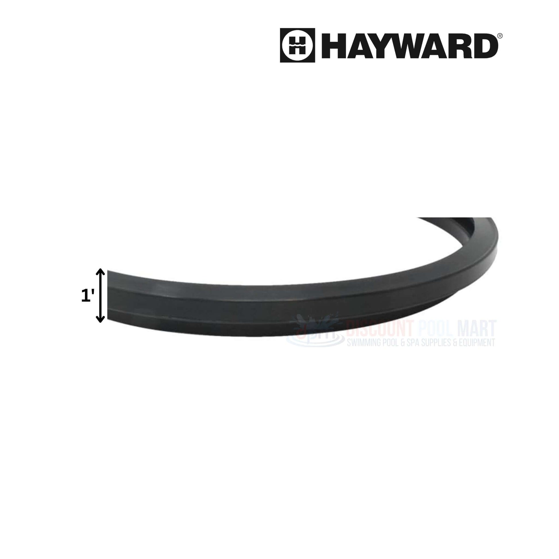Hayward Filter Tank Head Gasket for Star-Clear, prevents leaks, durable, OEM part, compatible with CX250F. Discount Pool Mart DPM.