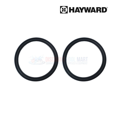 Hayward Union Gasket SPX3200UG 2 Pack from Discount Pool Mart DPM for secure sealing in pumps and filters