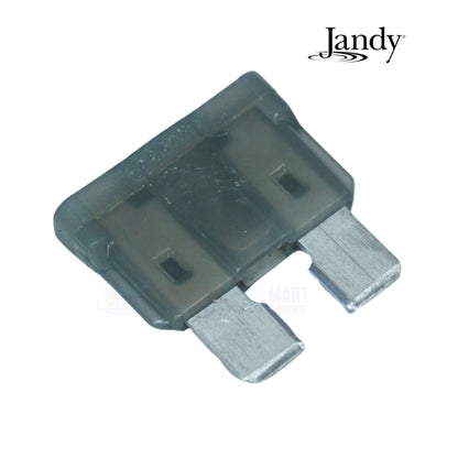 Jandy Fuse Kit for JXiQ Heaters R1009500 showing a clear fuse, ideal for Discount Pool Mart pool supplies and swimming pool parts.