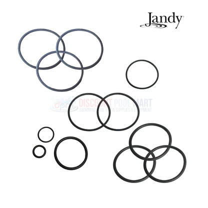 Jandy O-Ring Kit for DEV and DEL Filters, R0358000 at Discount Pool Mart DPM, essential maintenance accessory.
