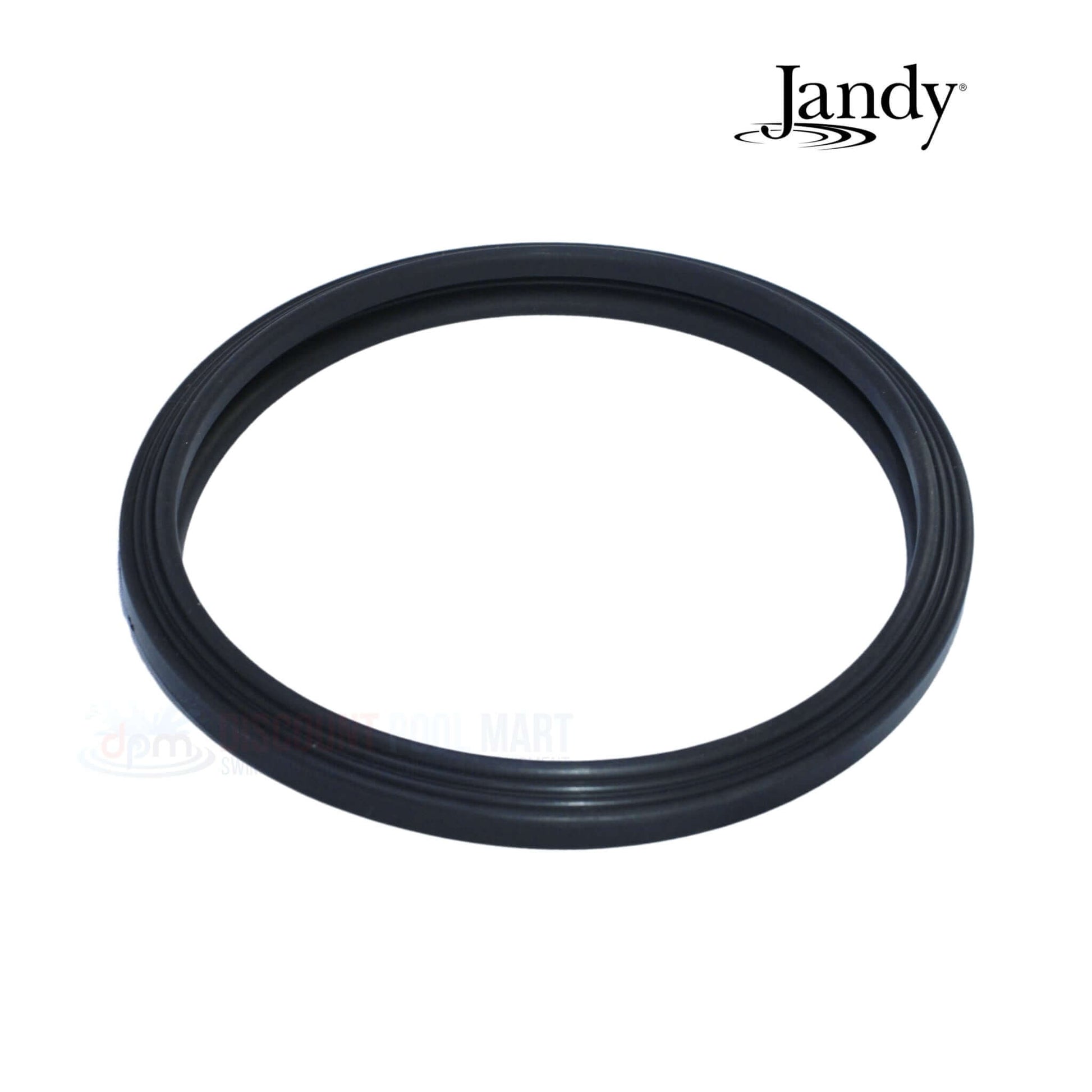 Jandy Pool Light Lens Gasket R0451101 R0790500 from Discount Pool Mart DPM for watertight seal and durability.