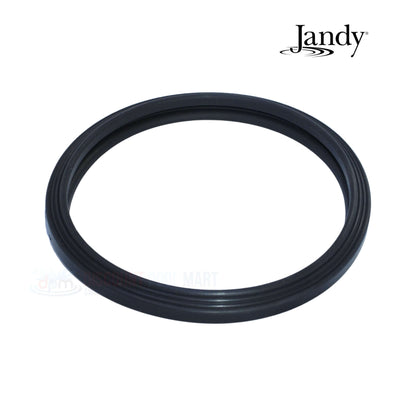 Jandy Pool Light Lens Gasket R0451101 R0790500 from Discount Pool Mart DPM for watertight seal and durability.