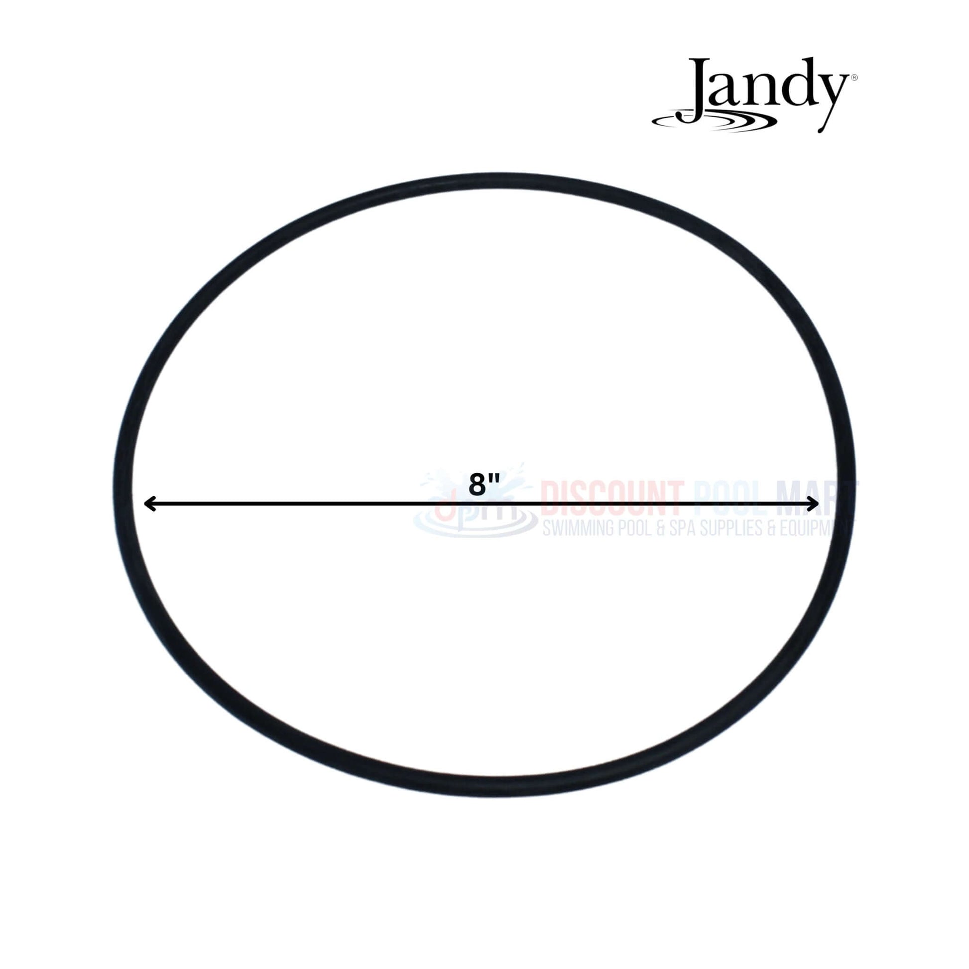 Jandy backplate O-ring, 8 inch, part of Jandy Backplate Kit for FloPro Pumps from Discount Pool Mart DPM.
