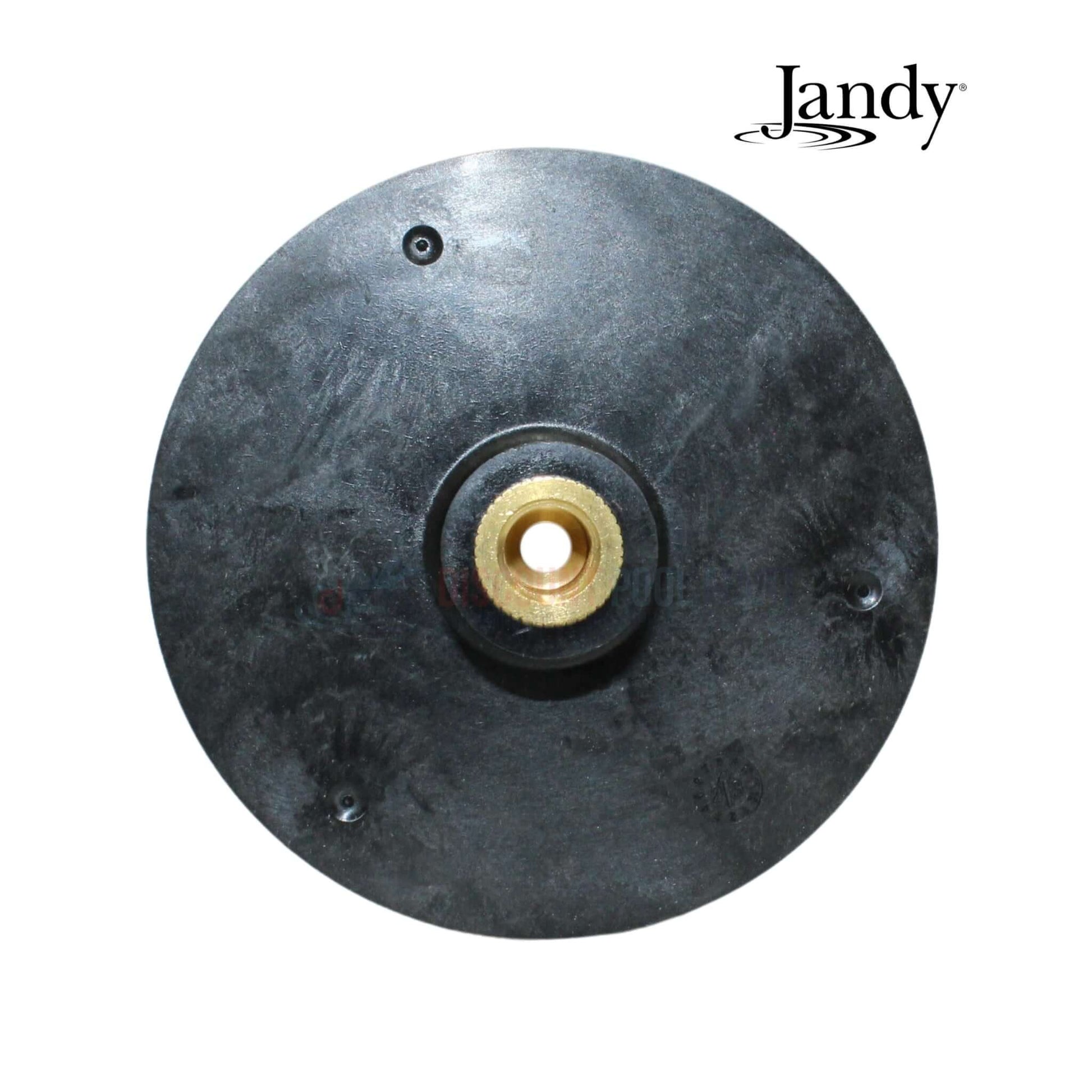 Jandy Impeller and Screw Kit with O-Ring R0479602 for FloPro Pumps | Discount Pool Mart DPM
