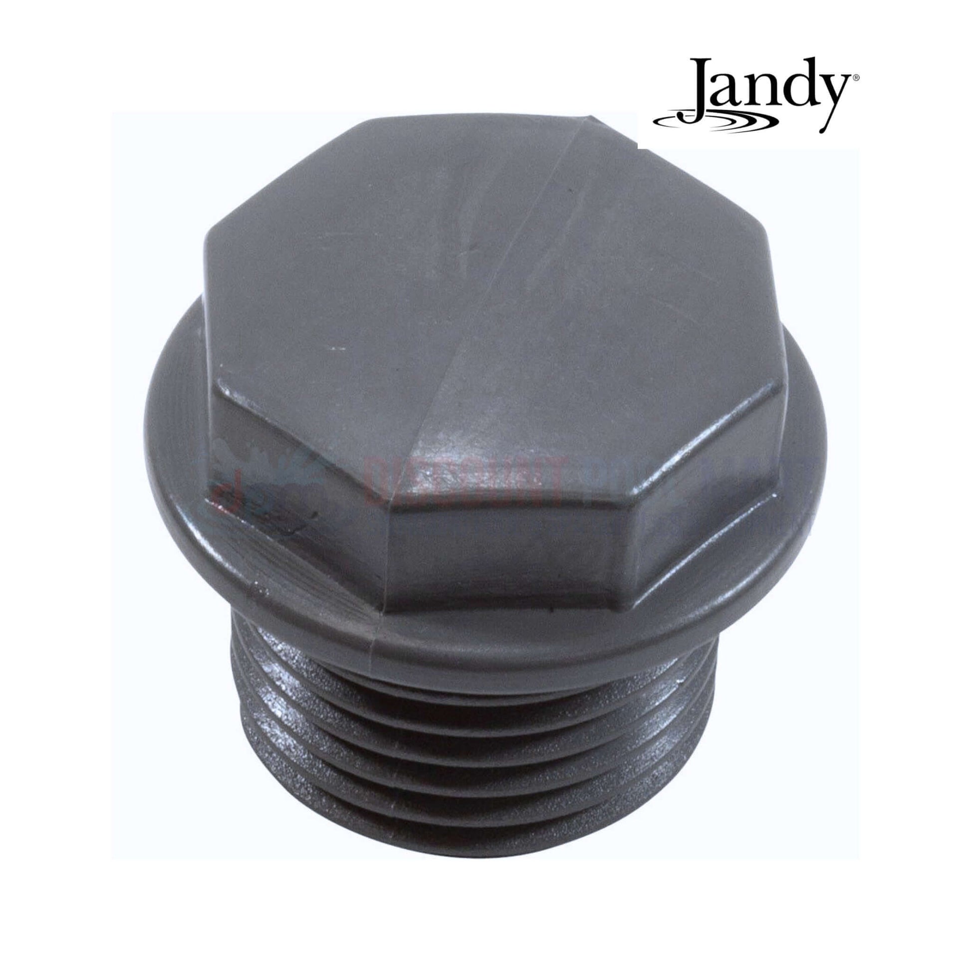 Jandy plugs for AquaPure Ei chlorinators, 2 pack R0740500 from Discount Pool Mart DPM for leak prevention.
