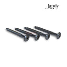 Jandy Screws For DEV and DEL DE Filter Handle | Hardware Kit | 4 Pack | R0359900
