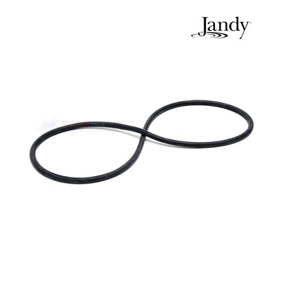 Jandy Tank O-Ring for DEV and DEL Filters | R0357800 | Discount Pool Mart DPM