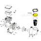 Exploded view of PC&G Clear Pump Lid PCG357151 for Pentair IntelliFlo & WhisperFlo pumps at Discount Pool Mart DPM.