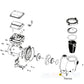 Exploded view diagram of PC&G Drain Plug with O-Ring for Pentair WhisperFlo and Intelliflo Pumps, DPM.