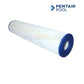 Pentair Clean & Clear Plus 520 Cartridge R173578 179136 from Discount Pool Mart DPM for optimal filtration.