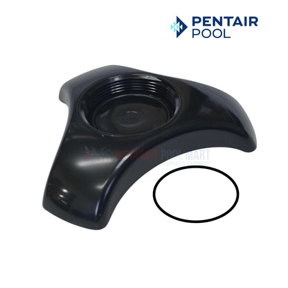 Pentair Acid Wash Stand Kit for iChlor and IntelliChlor with O-ring from Discount Pool Mart DPM
