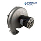 Pentair Air Combustion Blower Kit for MasterTemp 175LP and 200LP, model 77707-0254, from Discount Pool Mart DPM.