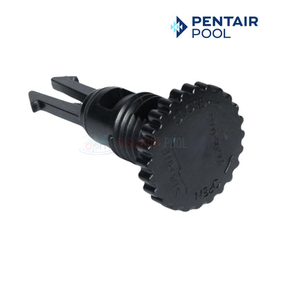 Pentair Air Release Valve for PXC & PLDE Series Filters at Discount Pool Mart DPM