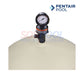 Pentair Clean & Clear Plus 320 Cartridge Pool Filter | EC-160340 with gauge, showing top view and logo, ideal for pool supplies.