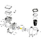 Exploded diagram of Pentair Impeller Screw 071652 for WhisperFlo and IntelliFlo pump available at Discount Pool Mart DPM.