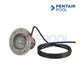 Pentair IntelliBrite 5G Color LED Spa Light 12V EC-640132 with 100' Cord for vibrant pool illumination - SOS Pool