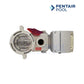Pentair IntelliFlo i2 3.95 THP Variable Speed Pool Pump | EC-011060