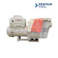 Pentair IntelliFlo i2 3.95 THP Variable Speed Pool Pump | EC-011060